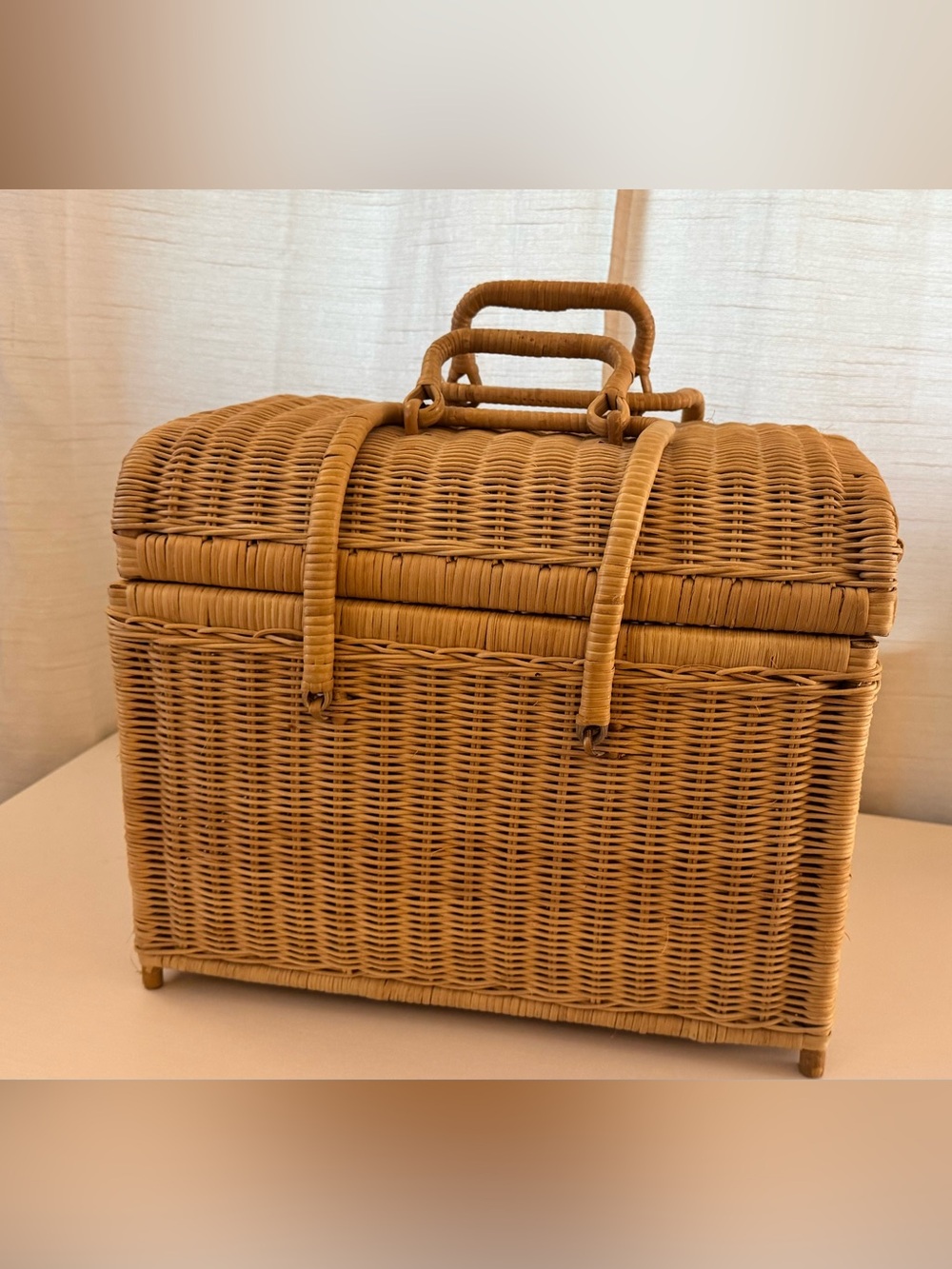 Vintage Wicker Picnic Basket Tote - Tan